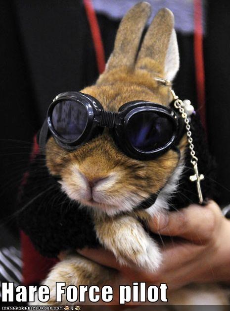 Hare Force pilot
