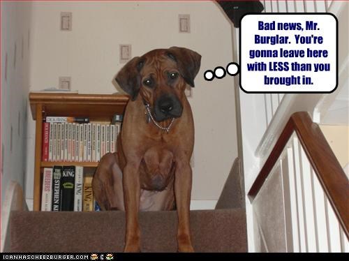 Bad news, Mr. Burglar.  You're gonna leave here with LESS than you brought in.