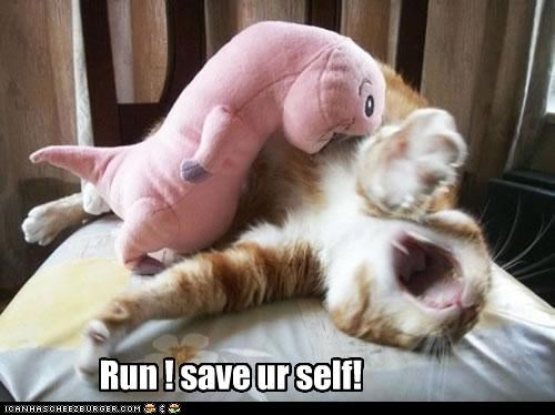 Run! save ur self!