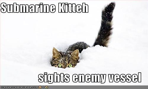 Submarine Kitteh  sights enemy vessel