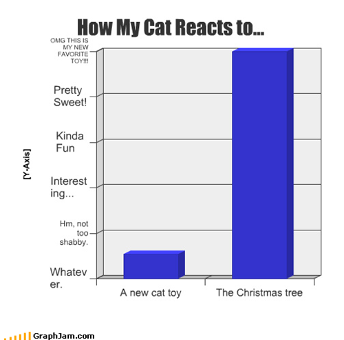 How My Cat Reacts to...