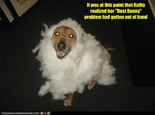 It was at this point that Kathy realized her "Dust Bunny" problem had gotten out of hand