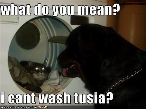 what do you mean?  i cant wash tusia?