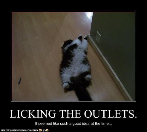 LICKING THE OUTLETS.