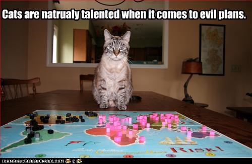 Cats are natrualy talented when it comes to evil plans.