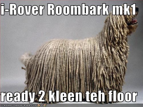 i-Rover Roombark mk1  ready 2 kleen teh floor