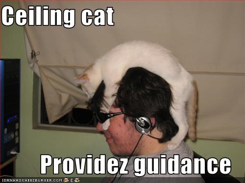 Ceiling cat  Providez guidance