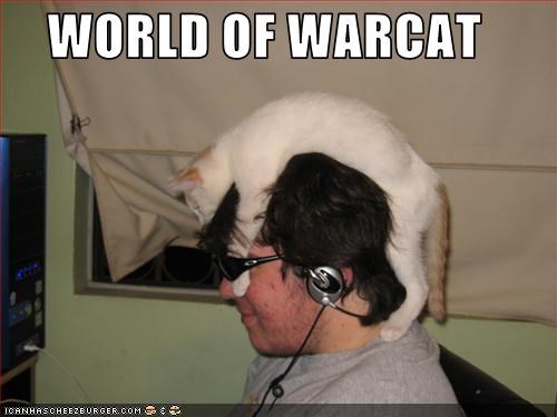 WORLD OF WARCAT