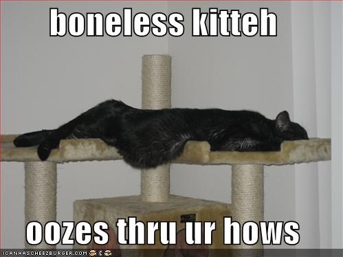boneless kitteh