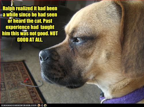 Ralph realized it had been a while since he had seen or heard the cat. Past experience had  taught him this was not good. NOT GOOD AT ALL.