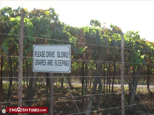 Do Not Disturb The Wine!