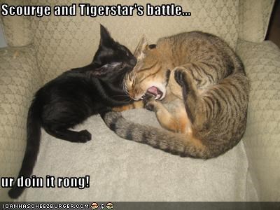 Scourge and Tigerstar's battle...  ur doin it rong!