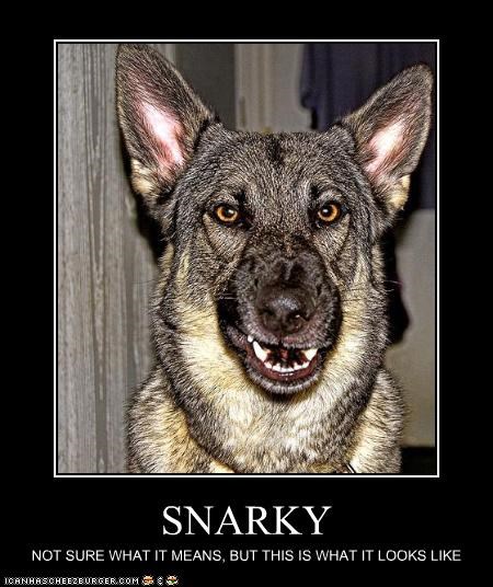 SNARKY