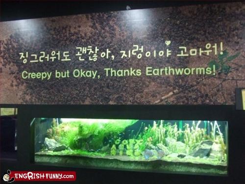 Thanks Earthworms!