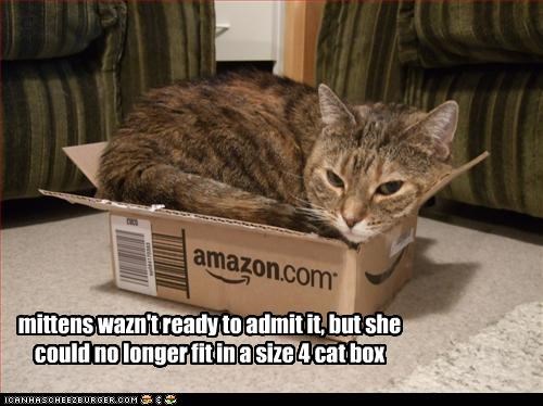 mittens wazn't ready to admit it, but she could no longer fit in a size 4 cat box