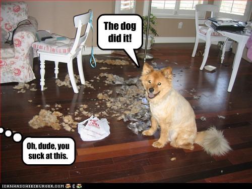 The dog did it!