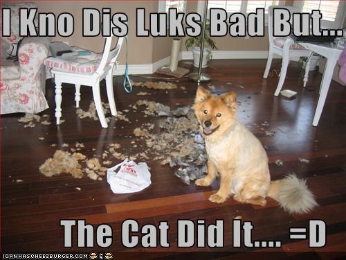 I Kno Dis Luks Bad But...  The Cat Did It.... =D