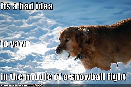 Its a bad idea  to yawn  in the middle of a snowball fight