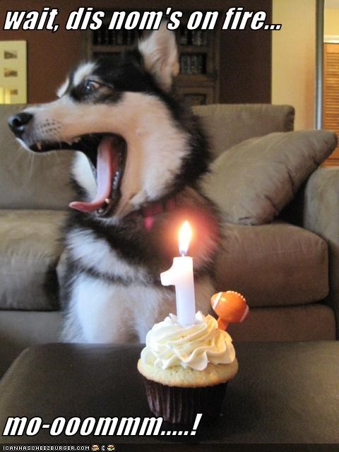 wait, dis nom's on fire...  mo-ooommm.....!