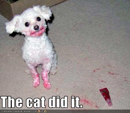 The cat did it.