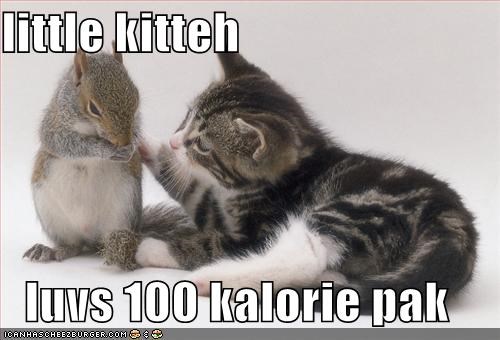 little kitteh   luvs 100 kalorie pak