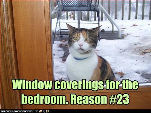 Window coverings for the bedroom. Reason #23