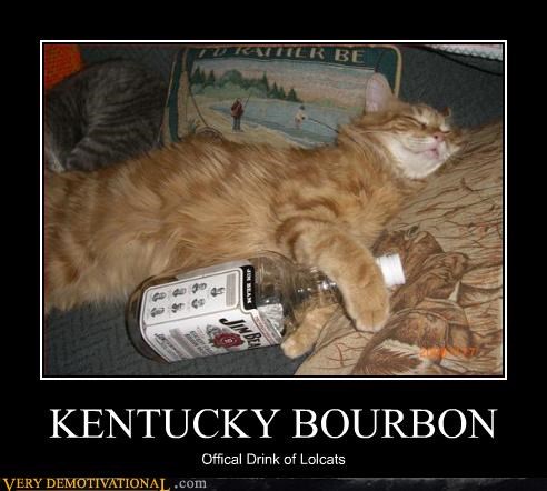 Cats Need the Bourbon