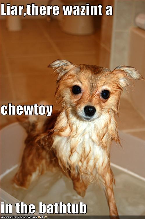 Liar,there wazint a chewtoy in the bathtub