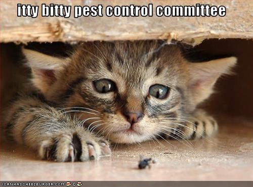 itty bitty pest control committee