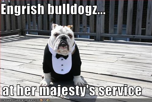 Engrish bulldogz...  at her majesty's service
