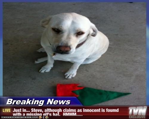 Breaking News - Just in... Steve, although claims as innocent is foumd 
with a missing elf's hat.  HMMM.....