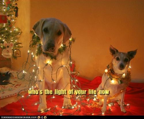 who's  the  light  of  your  life  now