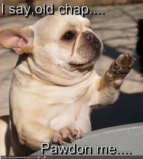 I say