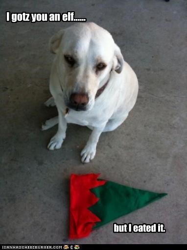 I gotz you an elf......