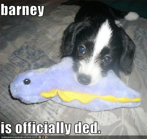 barney   is officially ded.