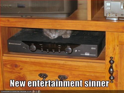 New entertainment sinner