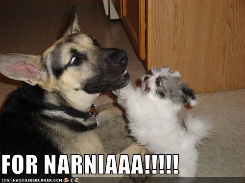 FOR NARNIAAA!!!!!