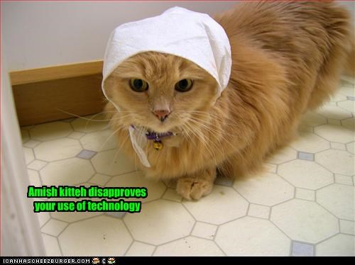 Amish kitteh disapproves your use of technology