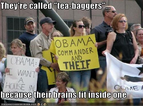 They're called "tea-baggers"...  because their brains fit inside one