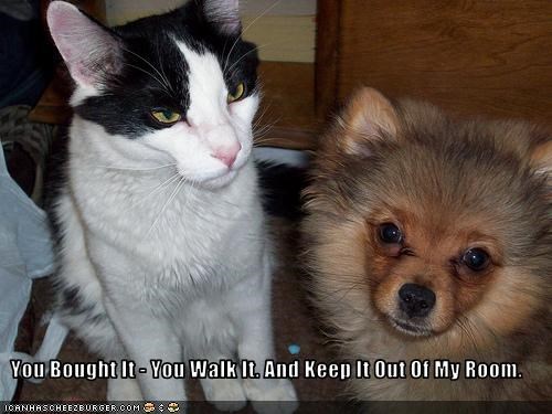 You Bought It - You Walk It. And Keep It Out Of My Room.