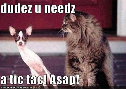 dudez u needz  a tic tac! Asap!