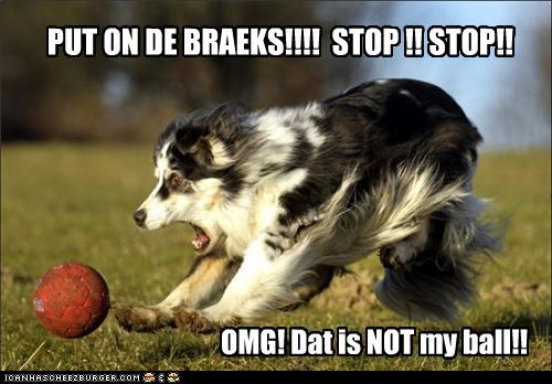 PUT ON DE BRAEKS!!!!  STOP !! STOP!!