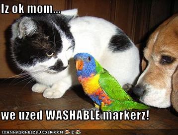 Iz ok mom