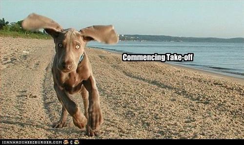 Commence Take-off