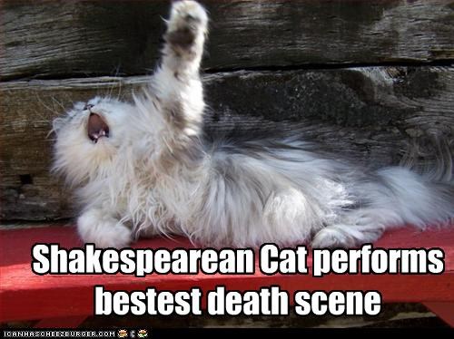 Shakespearean Cat Performs Bestest Death Scene