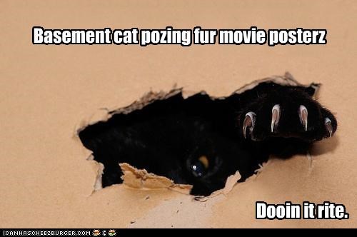 Basement cat pozing fur movie posterz