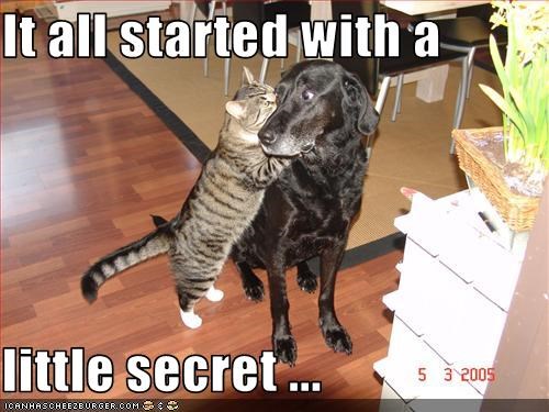 It all started with a  little secret ...