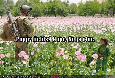 Poppy fields? Nope. Not a clue.