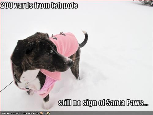 200 yards from teh pole  still no sign of Santa Paws...