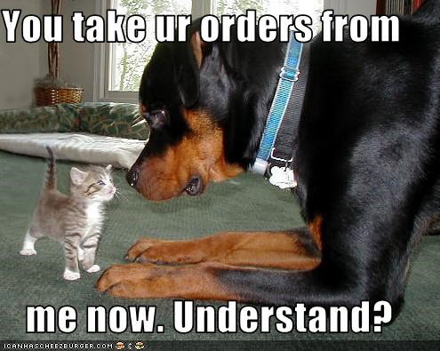 You take ur orders from  me now. Understand?